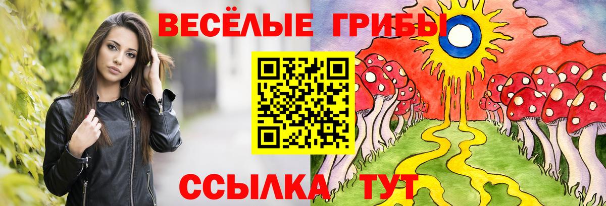 Галлюциногенные грибы Cubensis Алексин